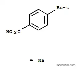 나트륨 PT-부틸벤조에이트