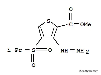 메틸 3-하이드라지노-4-(이소프로필술포닐)티오펜-2-카르복실레이트