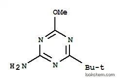 2-아미노-4-(테르트-부틸)-6-메톡시-1,3,5-트리아진