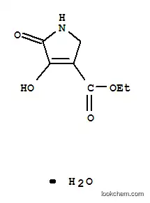 에틸 3-히드록시-2-옥소-3-피롤린-4-카르복실레이트 일수화물