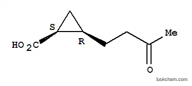 시클로프로판카르복실산, 2-(3-옥소부틸)-, 시스-(9CI)