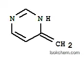 피리미딘, 1,4-디히드로-4-메틸렌-(9CI)