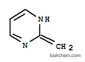 피리미딘, 1,2-디히드로-2-메틸렌-(9CI)