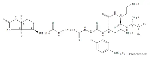 바이오틴 -LC-PTYR-GLU-GLU-ILE-OH