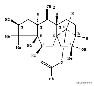아세보톡신 II