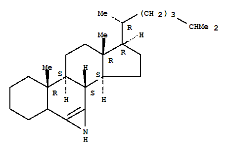 Click to see the large picture