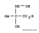 알라닌, N,2-디히드록시-(9CI)