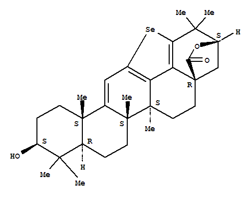 Click to see the large picture