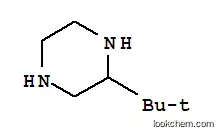2-TERT-부틸 피페라진