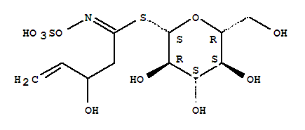 Click to see the large picture