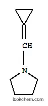 피롤리딘, 1-(시클로프로필리덴메틸)-(9CI)