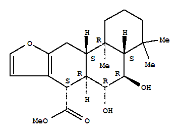 Click to see the large picture