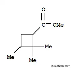 시클로부탄카르복실산, 2,2,3-트리메틸-, 메틸 에스테르(9CI)