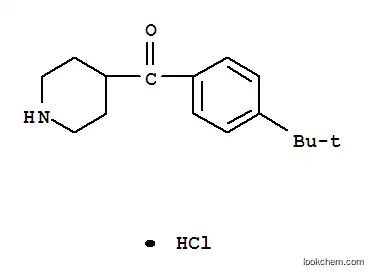 (4-TERT-BUTYL-PHENYL)-PIPERIDIN-4-YL-메탄염화물