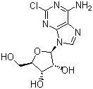 6-Amino-2-chloropurineriboside;2-chloro-adenosin