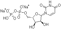 Uridine5’-diphosphatedisodiumsalt