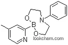 4-메틸피리딘-2-보론산 N-페닐디에탄올아민 에스테르