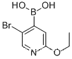 5-Bromo-2-ethoxypyridine-4-boronic acid