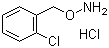 O-(2-Chlorobenzyl)hydroxylaminehydrochloride