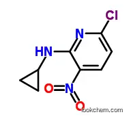 6-클로로-N-사이클로프로필-3-니트로피리딘-2-아민