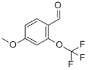 2-Trifluoromethoxy-4-methoxybenzaldehyde