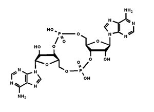 c-di-AMP