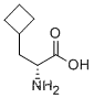 D-Cyclobutylalanine