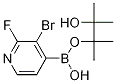 3-브로모-2-플루오로피리딘-4-붕소산 피나콜 에스테르