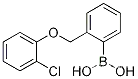 (2-((2-클로로페녹시)메틸)페닐)보론산