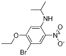 4- 브로 모 -5-에 톡시 -N- 이소 프로필 -2- 니트로 아닐린
