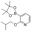 2-이소부톡시피리딘-3-보론산 피나콜 에스테르