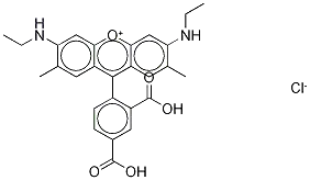 5-카르복시로다민-6G