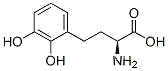 벤젠부탄산, 알파-아미노-2,3-디하이드록시-, (알파S)-(9CI)