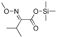 2-(메톡시이미노)-3-메틸부탄산 트리메틸실릴 에스테르