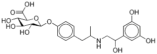 Fenoterol O-β-D- 글루 쿠로 나이드