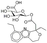 rac 에토돌락 아실-β-D-글루쿠로나이드