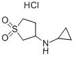 시클로프로필-(1,1-디옥소-테트라히드로티오펜-3-일)-아민 염산염