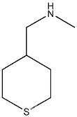N-메틸(테트라히드로티오피란-4-일)메틸아민