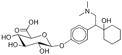 O-데스메틸-(RAC-벤라팍신) 글루쿠로나이드