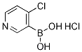 4-클로로-3-피리딘붕소산 HCl