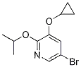5-broMo-3-시클로프로폭시-2-이소프로폭시피리딘