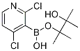 2,4-디클로로피리딘-3-보론산 피나콜 에스테르