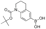 1-(TERT-부톡시카르보닐)-1,2,3,4-테트라히드로-6-퀴놀리닐붕소산