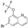 6-브로모-8-트리플루오로메톡시퀴놀린