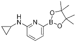 6-(CYCLOPROPYLAMINO)피리딘-2-붕소산 피나콜 에스테르