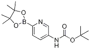 Boc-5- 아미노 피리딘 -2- 보론 산 피나 콜 에스테르