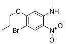 4-브로모-N-메틸-2-니트로-5-프로폭시아닐린