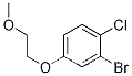 2-브로모-1-클로로-4-(2-메톡시에톡시)벤젠