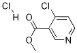 메틸 4-클로로니코티네이트 염산염