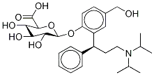 5-하이드록시메틸 톨테로딘 β-D-글루쿠로나이드
